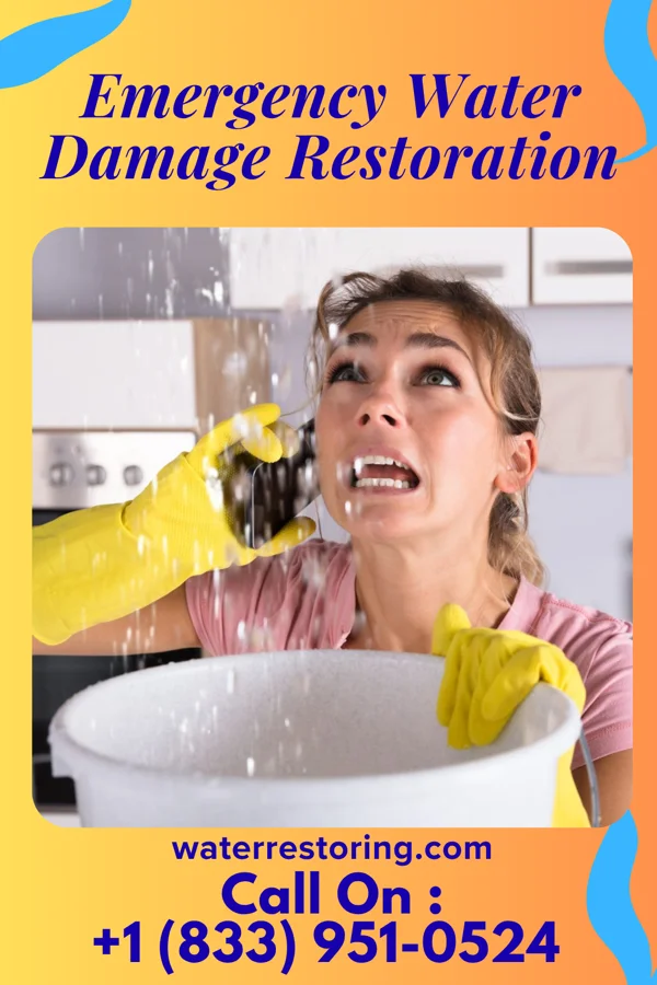 Emergency Water Damage Restoration in North Myrtle Beach, SC