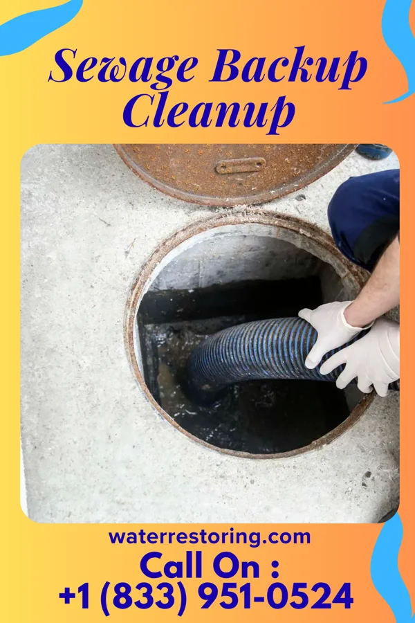 Sewage Backup Cleanup in North Myrtle Beach, SC
