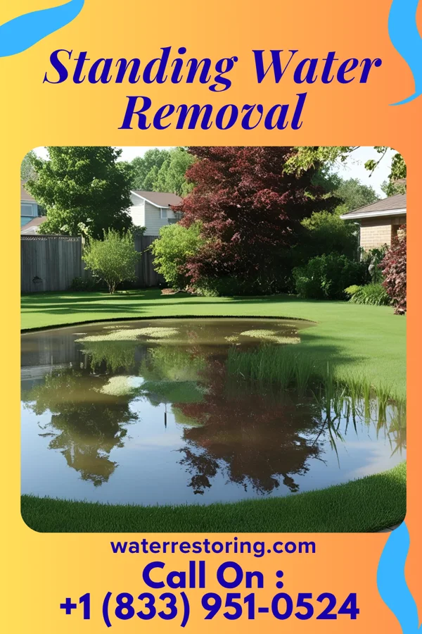 Standing Water Removal in North Myrtle Beach, SC